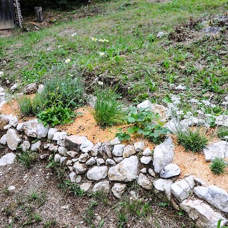 Gorska Hiska Vogar Nad Bohinjskim Jezerom Экстерьер фото